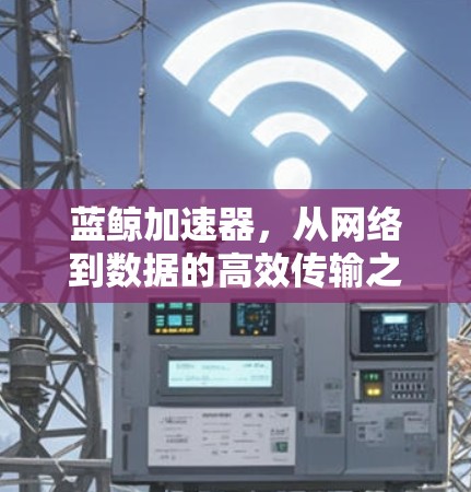 蓝鲸加速器，从网络到数据的高效传输之路
