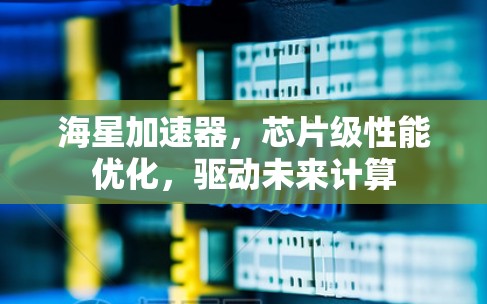 海星加速器，芯片级性能优化，驱动未来计算