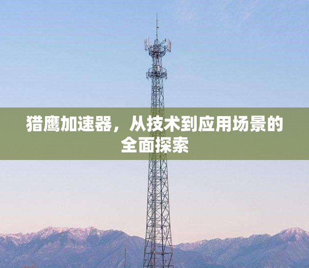 猎鹰加速器,从技术到应用场景的全面探索