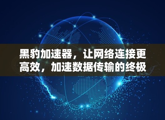 黑豹加速器,让网络连接更高效,加速数据传输的终极突破