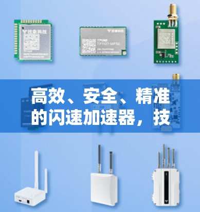 高效、安全、精准的闪速加速器，技术突破与实际应用