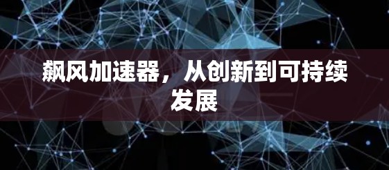 飙风加速器,从创新到可持续发展 飙风加速器,从创新到可持续发展