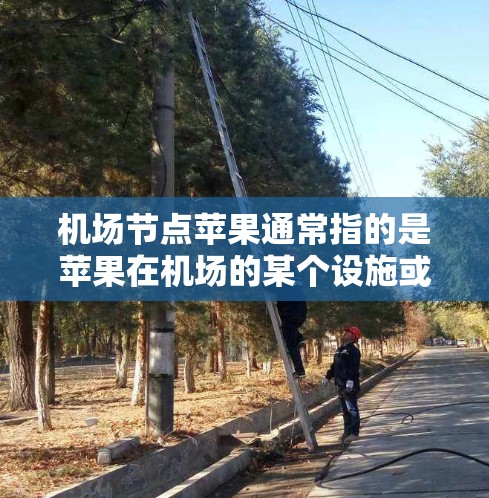机场节点苹果通常指的是苹果在机场的某个设施或位置。以下是一些常见的苹果设施及其地理位置
