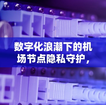 数字化浪潮下的机场节点隐私守护,一场不可逆转的数字革命