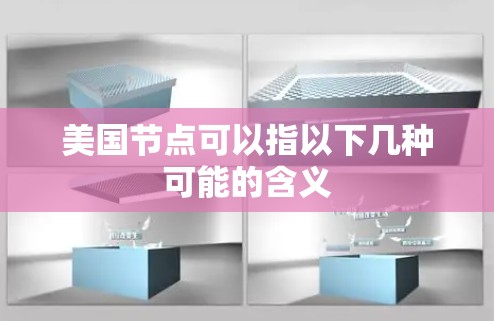 美国节点可以指以下几种可能的含义