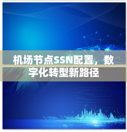 机场节点SSN配置,数字化转型新路径 机场节点SSN配置,数字化转型新路径
