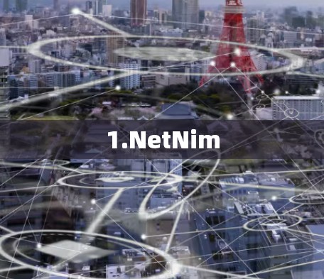 1.NetNim