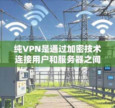 纯VPN是通过加密技术连接用户和服务器之间的网络,提供安全的网络连接体验。以下是关于纯VPN的评测