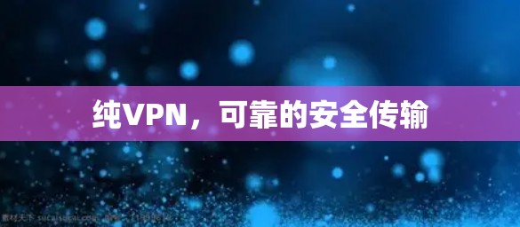 纯VPN，可靠的安全传输