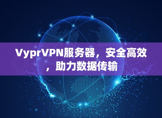 VyprVPN服务器,安全高效,助力数据传输