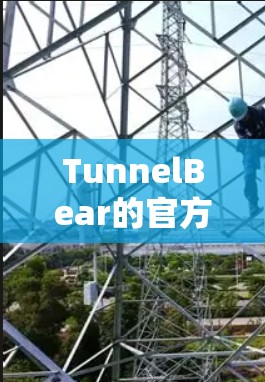 TunnelBear的官方网站通常可以通过以下方式访问