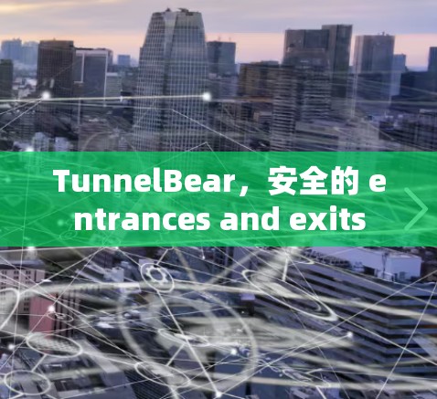 TunnelBear,安全的 entrances and exits