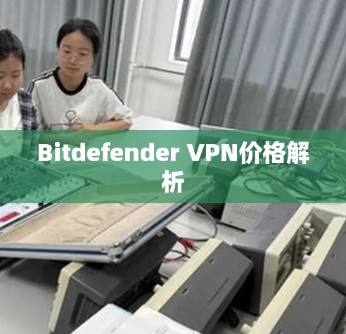 Bitdefender VPN价格解析