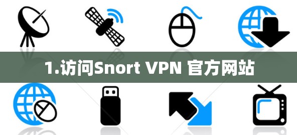 1.访问Snort VPN 官方网站 1.访问Snort VPN 官方网站