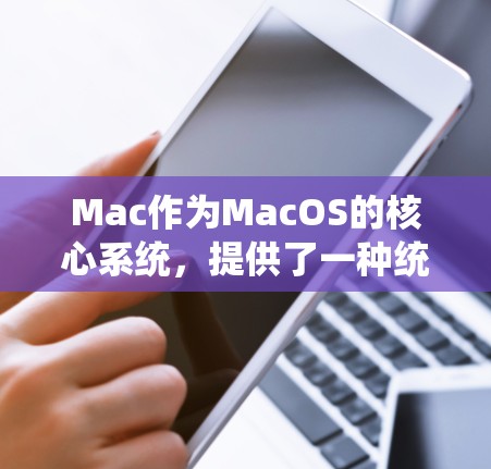 Mac作为MacOS的核心系统,提供了一种统一的界面和丰富的功能,包括网络连接。以下是对Mac高速网络连接的详细分析