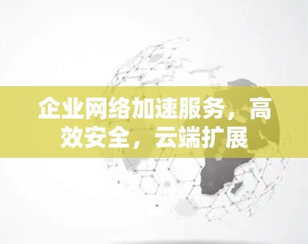企业网络加速服务,高效安全,云端扩展