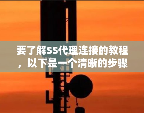 要了解SS代理连接的教程,以下是一个清晰的步骤指南,帮助你系统地完成配置和使用过程