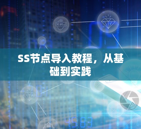 SS节点导入教程,从基础到实践
