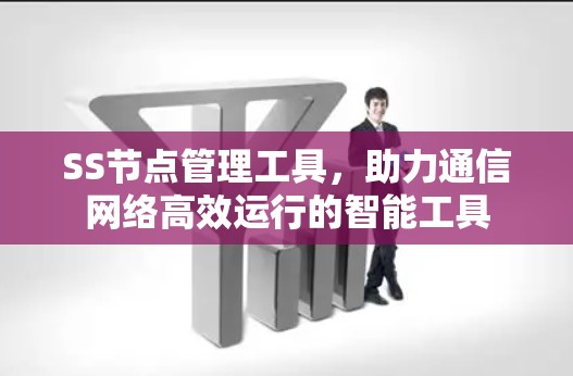 SS节点管理工具,助力通信网络高效运行的智能工具