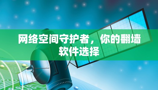 网络空间守护者,你的<strong>翻墙软件</strong>选择