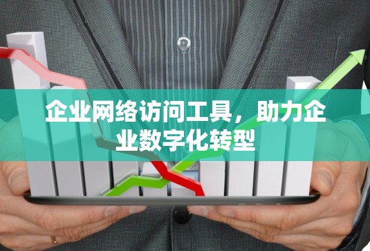 企业网络访问工具,助力企业数字化转型 企业网络访问工具,助力企业数字化转型
