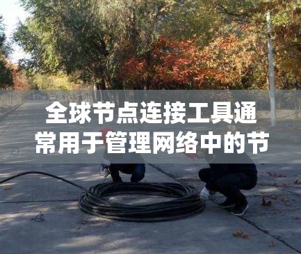全球节点连接工具通常用于管理网络中的节点，使其能够连接到全球网络环境。以下是一个系统的解释