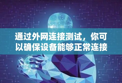 通过外网连接测试，你可以确保设备能够正常连接并高效地进行工作。以下是一个清晰的步骤指南，帮助你系统地进行外网连接测试