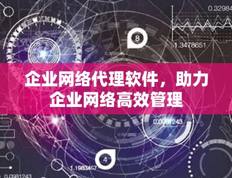 企业网络代理软件，助力企业网络高效管理