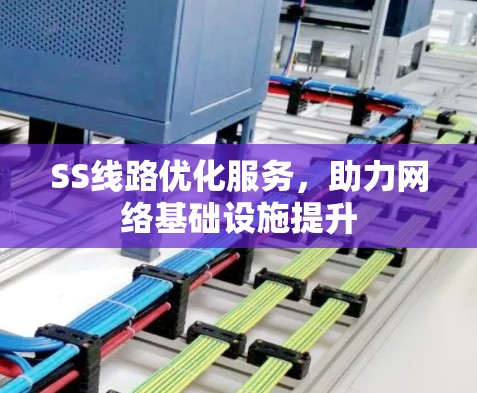 SS线路优化服务，助力网络基础设施提升