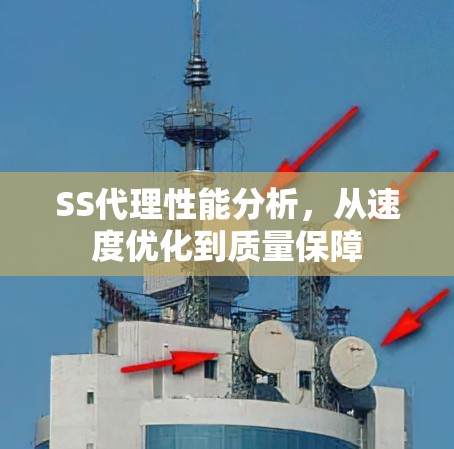 SS代理性能分析,从速度优化到质量保障