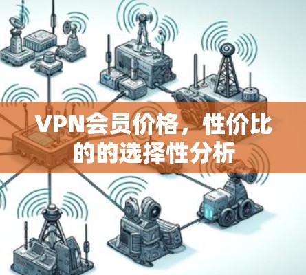 VPN会员价格,性价比的的选择性分析