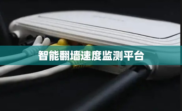智能翻墙速度监测平台 智能翻墙速度监测平台