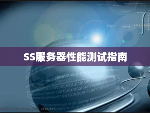 SS服务器性能测试指南 SS服务器性能测试指南