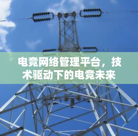 电竞网络管理平台，技术驱动下的电竞未来
