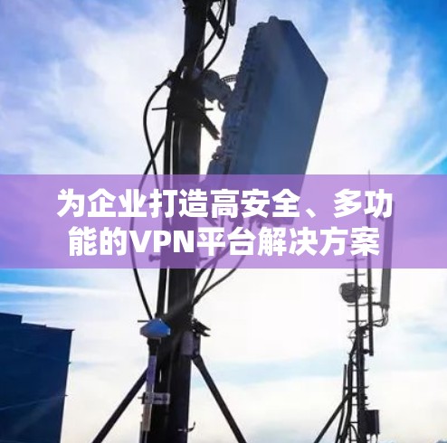 为企业打造高安全、多功能的VPN平台解决方案 为企业打造高安全、多功能的VPN平台解决方案