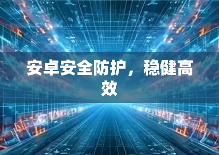 安卓安全防护,稳健高效 安卓安全防护,稳健高效