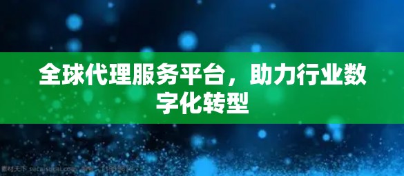 全球代理服务平台,助力行业数字化转型 全球代理服务平台,助力行业数字化转型