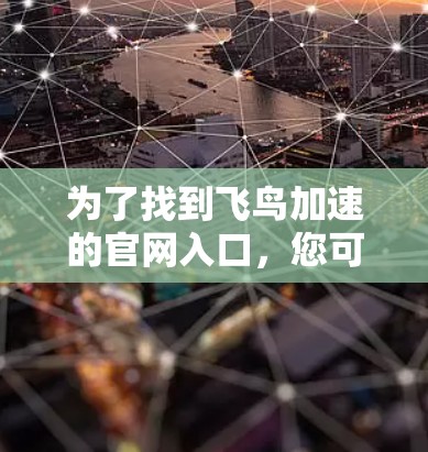 为了找到飞鸟加速的官网入口，您可以按照以下步骤进行操作