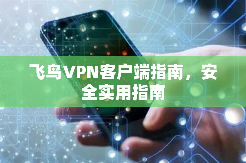 飞鸟VPN客户端指南,安全实用指南