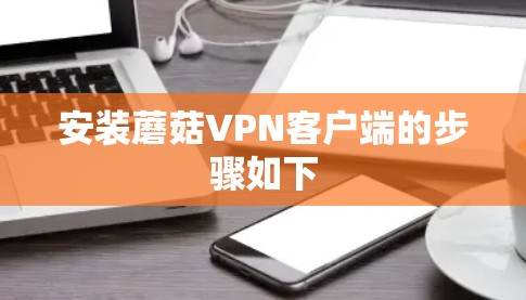 安装蘑菇VPN客户端的步骤如下
