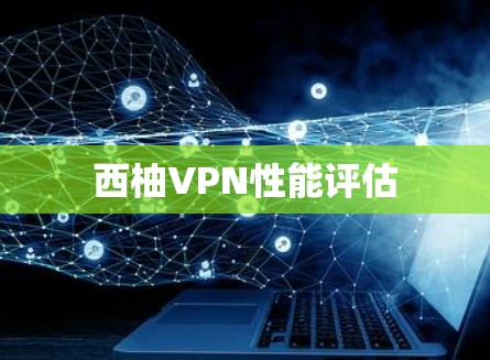 西柚VPN性能评估