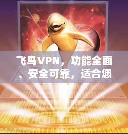 飞鸟VPN,功能全面、安全可靠,适合您的个人需求