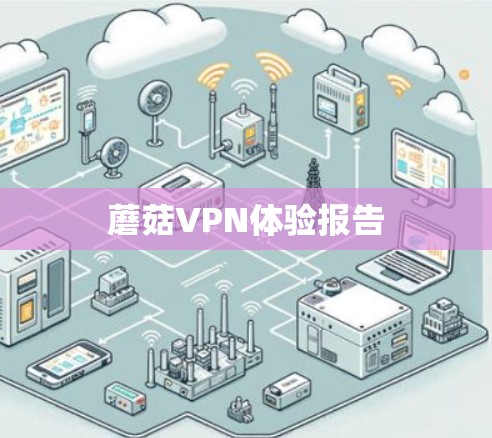 蘑菇VPN体验报告