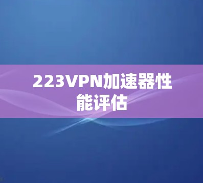 223VPN加速器性能评估
