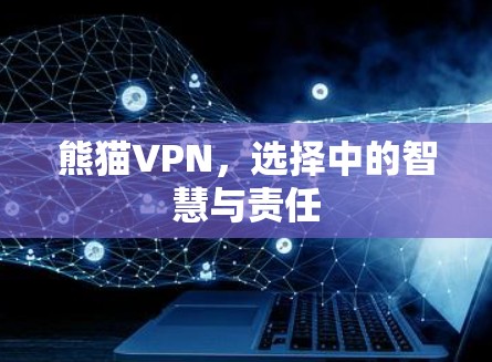 熊猫VPN,选择中的智慧与责任