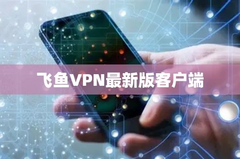 飞鱼VPN最新版客户端