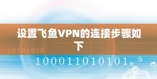 设置飞鱼VPN的连接步骤如下