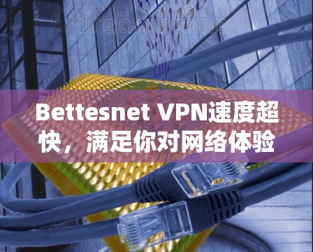 Bettesnet VPN速度超快,满足你对网络体验的需求