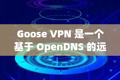 Goose VPN 是一个基于 OpenDNS 的远程访问服务,专为远程访问者提供VPN功能,旨在保护个人和企业数据的安全。以下是其功能评测