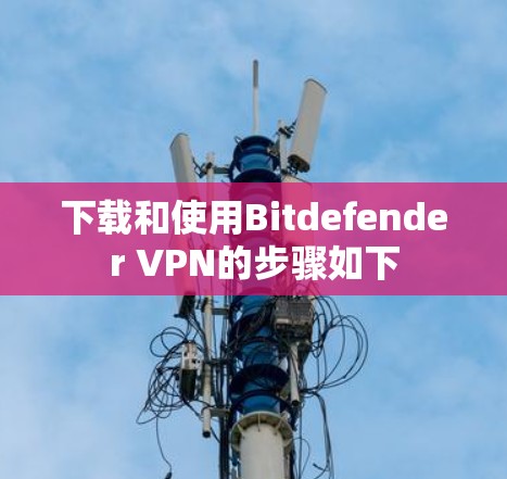 下载和使用Bitdefender VPN的步骤如下
